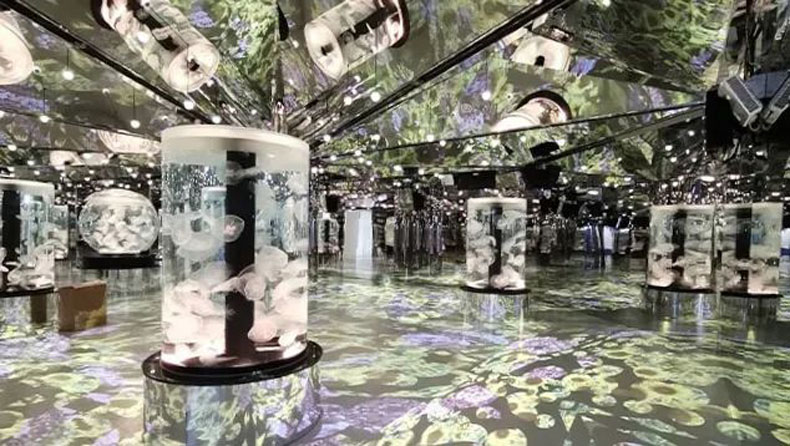 臺(tái)灣 Xpark 水族館，全方位沉浸式暢快游樂(lè)體驗(yàn)