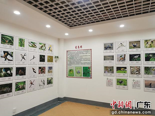 樂昌首家野生鳥類展覽館開放，設(shè)計建筑面積約170多平米